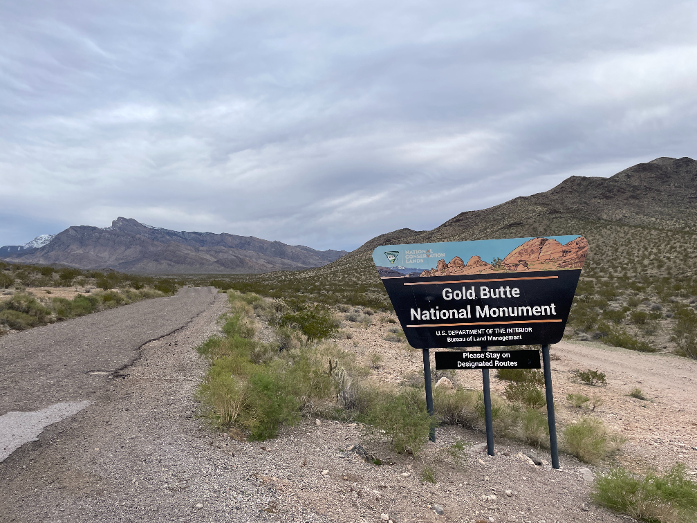 Gold Butte National Monument: Complete Travel Guide, Things to Do, Camping, and Road Conditions